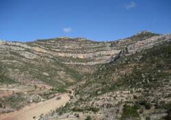 Le vallon du secteur Enderrocada / Montsant (Escaladei)