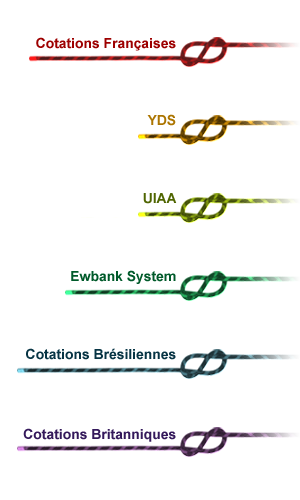 Voies_Start.png