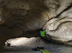Le Bourrinoire