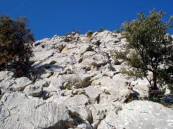 Buis-les-Baronnies (Baume Rousse)