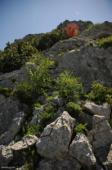 Le Pic Saint-Loup (grandes voies)