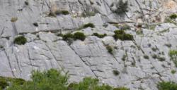 Valle de Abdalajis (Nacimiento)