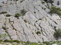 Valle de Abdalajis (Nacimiento)