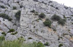 Valle de Abdalajis (Nacimiento)