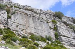 Valle de Abdalajis (Nacimiento)