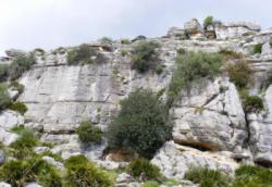 Valle de Abdalajis (Nacimiento)