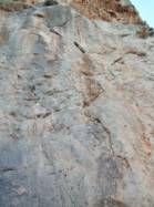Titi 6b+  / Meyrargues