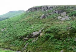 Peak district (Burbage valley)