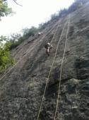 Falaise de Lierre