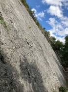Falaise de Lierre