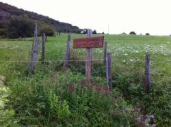 Falaise de Lierre