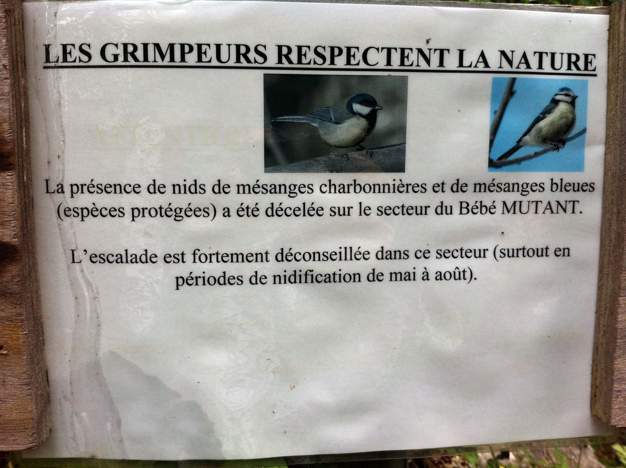 Falaise de Lierre