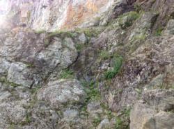 Secteur  Droit Débutant / Rocher de Biassus