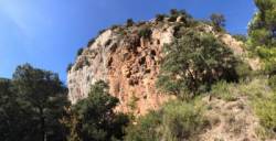 Collegats (Costoia)