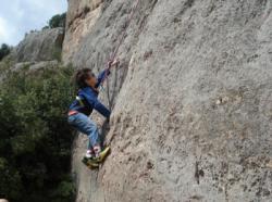 Coll de Nargó