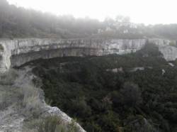 Baume Canouille