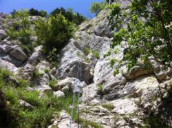 La Brême