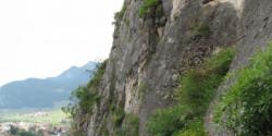 Aigle