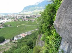 Aigle