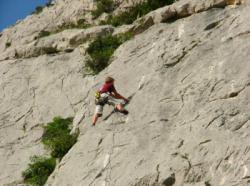 Vingrau