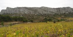 Vingrau