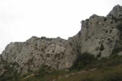 Vingrau