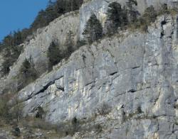 Superbalmette