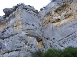Buis-les-Baronnies (Ubrieux)