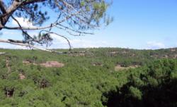 Albarracín