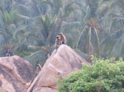 Hampi - Island plateau (Rishimuk Plateau)