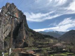 Anguiano