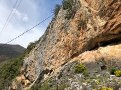 Anguiano