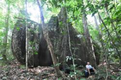 La savane roche Virginie