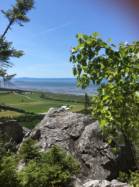 Kamouraska