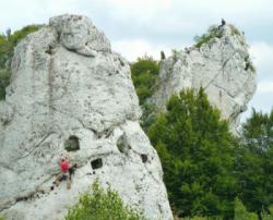 Rzędkowic