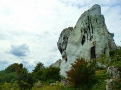 Rzędkowic