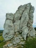 Rzędkowic