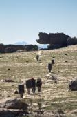 Rocklands (The Pass)