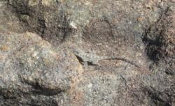 Rocklands (The Pass)