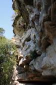 Barton Creek Greenbelt
