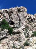 Sport Utility Crag