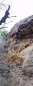 Mineral Wells