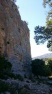 Buchi Arta