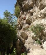 Arco (Massone)