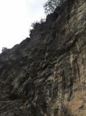Arco (Massone)