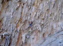 Kalymnos (autour de Masouri)