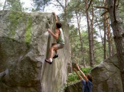 Guilhem  / Fontainebleau (Le Bas Cuvier)