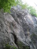 Čreta
