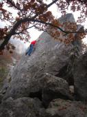 Le Salève (blocs)
