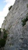 Fontgarnide